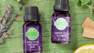 NEW SCENTSY OILS ❤