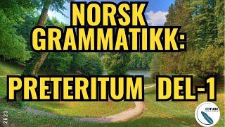 Norsk Grammatikk I Preteritum del - 1 /Norwegian Grammar - Past Tense part 1/#norsk #grammar