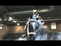 World Percheron Supreme Champion