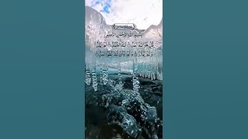 سورة الإخلاص هادئة #محمد_الفقية #القرآن_الكريم #وجدة #الجزائر #المغرب #اكسبلور #بحر #ترند