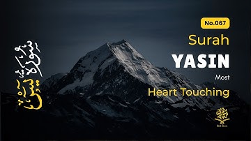 Healing Surah Yasin for Insomnia Relief, Stress, Depression ✦ Surah Yaseen سورة يس