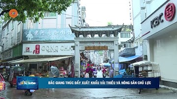 BẮC GIANG THÚC ĐẨY XUẤT KHẨU VẢI THIỀU VÀ NÔNG SẢN CHỦ LỰC | VTV5