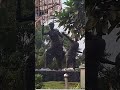 Freedom fighters