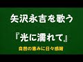 『光に濡れて』/矢沢永吉を歌う_6054 by 自然の恵みに日々感謝