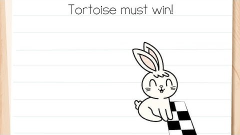 Brain Test Level 162 tortoise must win