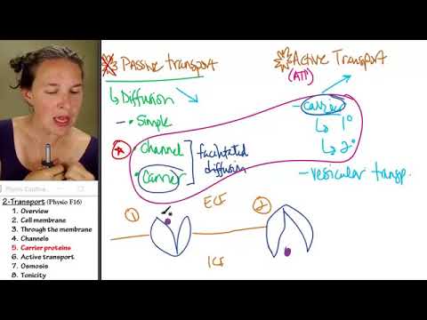 camera iphone 8 plus apk Carrier proteins