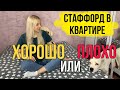 Стаффорд в квартире | Стоит ли заводить собаку в квартире