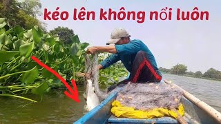  Casting Nets And Catching Huge Fish On The Big River moc Hoa Commune
