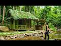 Building a Cozy Bamboo House by the Stream | Bushcraft, Survival, Off Grid Living