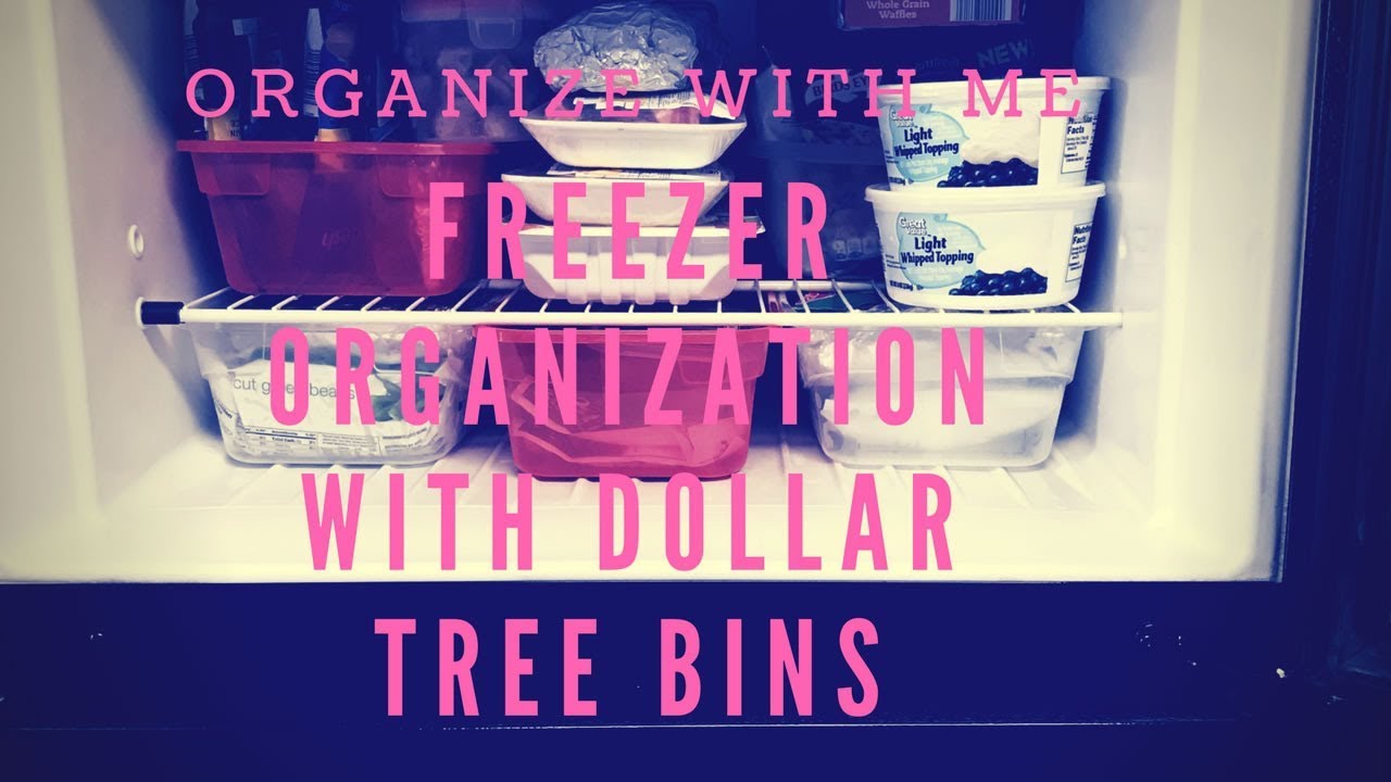 Organize with Me Freezer Organization with Dollar Tree Shoe Bins YouTube