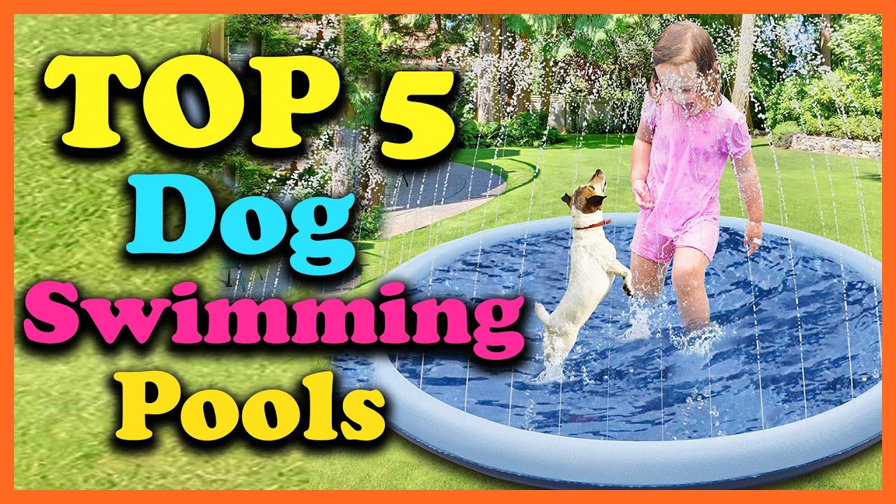 Top 5 Best Dog Swimming Pools of 2025