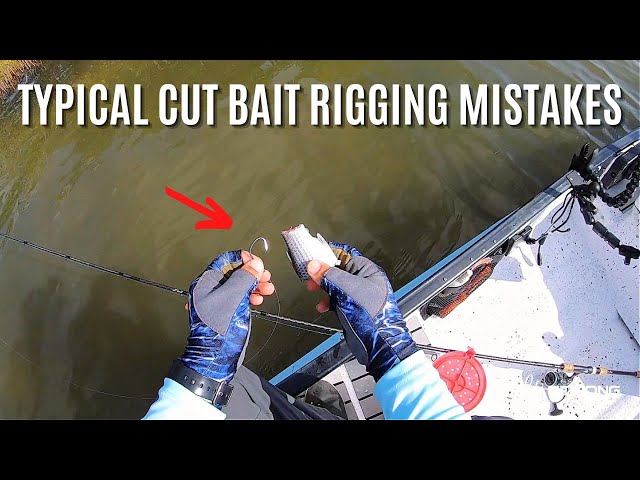 Typical Cut Bait Rigging Mistakes (And How To Fix Them) 