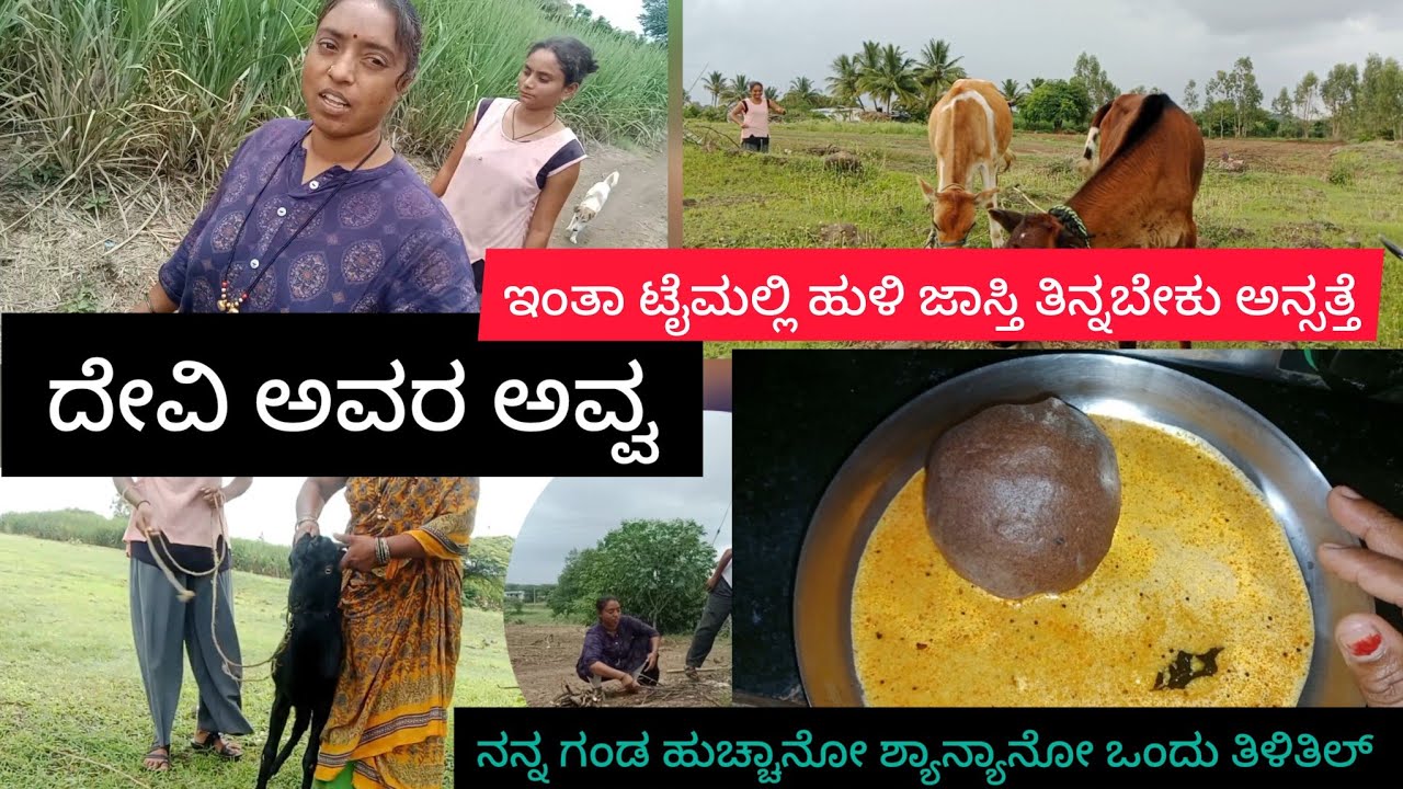 ದೇವಿ ಅವರ ಅವ್ವನ ಜಗಳದಲ್ಲಿ ನಾನ್ ಮಧ್ಯಸ್ಥಿಕೆ ವಹಿಸಬೇಕು 🤦ಈತರ ಮಾಡಿದ್ರೆ ದೇವರು ಮೆಚ್ಚತಾನ😢ಶೇಂಗಾ ಸಾರು ರಾಗಿಮುದ್ದೆ