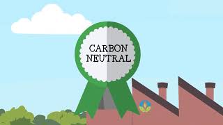 Biomass Renewable Energy Source Part 1