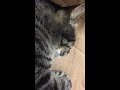 おばあちゃん