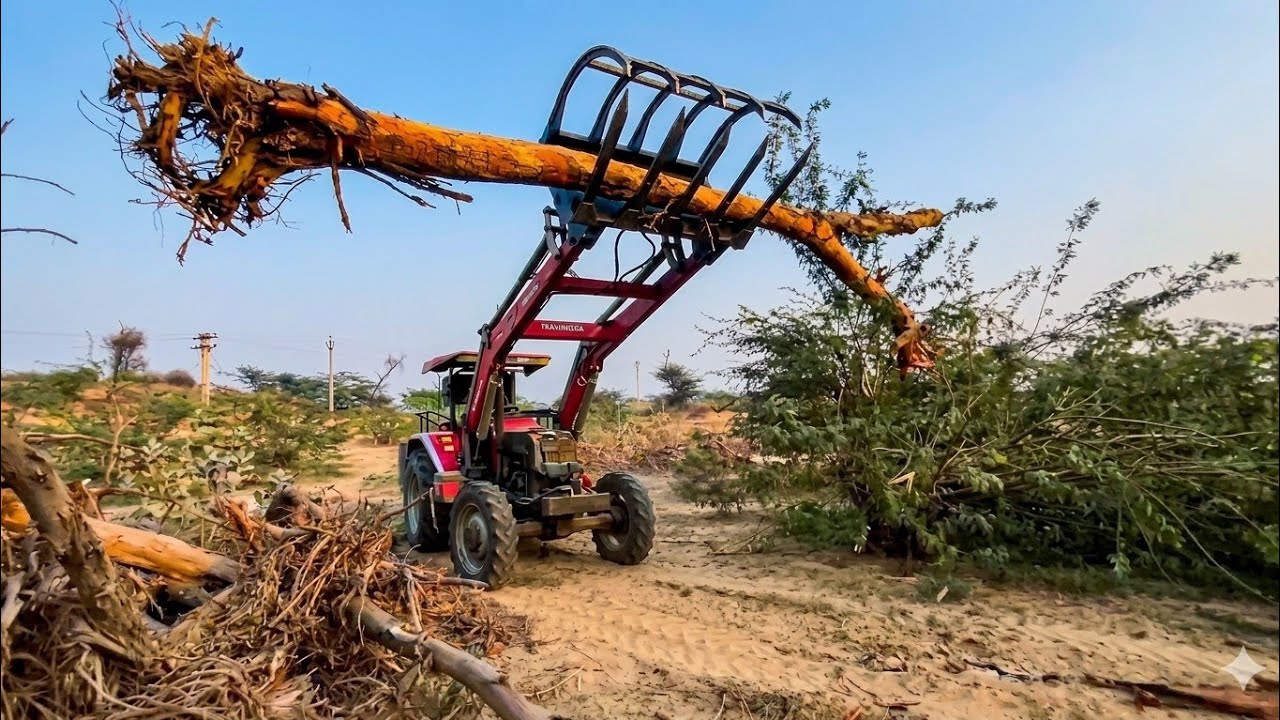 Front Loader Tree Installation 28 March 2026Powerful Tractor Loader in Action - Loading Logs and Tree ...