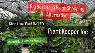 Big Box Store Plant Shopping Alternative Plant Keeper Inc Nursery Hundreds of Massive Houseplants