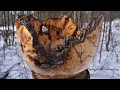 Woodturning - The Natural!