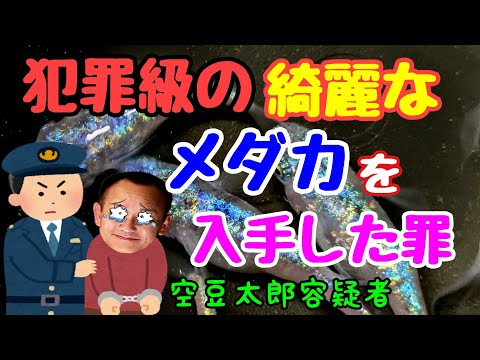 空豆太郎 - YouTube