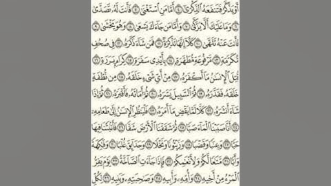 سورة عبس بصوت جميل  سلمان العتيبي