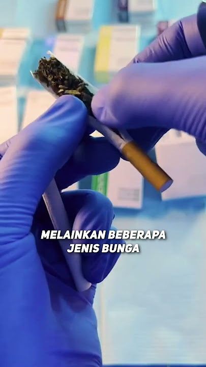 Ternyata Rokok yang Dipakai Artis-Artis Adalah Rokok Palsu, Begini Ternyata Isinya.. 🚬😲
