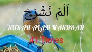 Surah Alam Nashrah اَلَمۡ نَشۡرَحۡ Full Surah (41 Times) Surah Alam Nashrah Mishary Rashid Alafasy