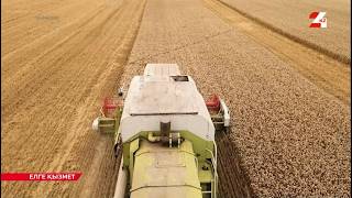 Most of the population in Akkol district is engaged in agriculture | Serving the country Most of the population in Akkol district is engaged in agriculture | Serving the country