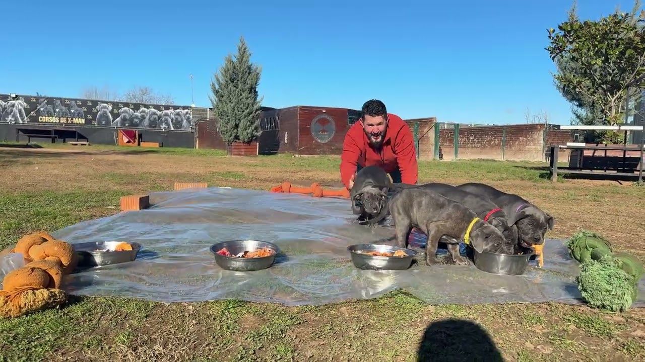 TODOS AL MISMO PLATO NO .. HOMBRE NO 😢