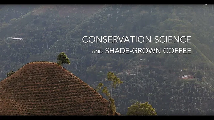Conservation Science: Amanda Rodewald Discusses Sh...