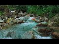 Reset Your Mind Fast with Natural River Sounds for Sleep and Quiet Relaxation Tonight