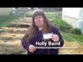 Planting Morning Glory Flowers - Flowers for Your Garden Planting Morning Glory Flowers - Flowers for Your Garden