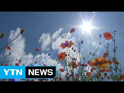 [날씨] 내일 구름 많고 일교차 커...남해안·제주 비 / YTN