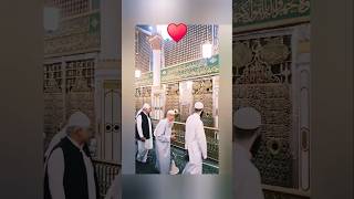 Download Lagu Janam ali ♥️🤲#islamicstatus #viralvideo #Zain MP3 Download Lagu Janam ali ♥️🤲#islamicstatus #viralvideo #Zain MP3