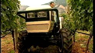 La gamma Lamborghini Agile V e Agile S (1996)