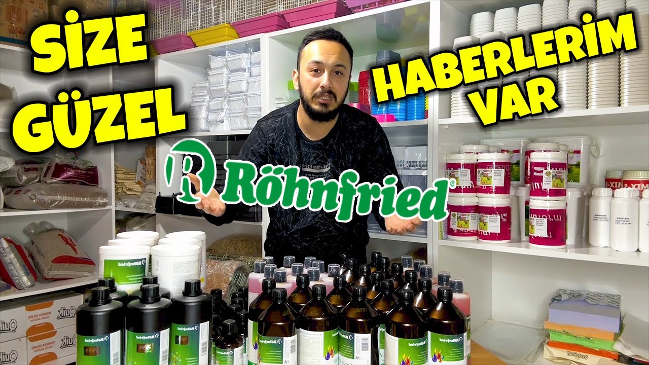 BU BÜYÜK BİR GURUR ! RÖHNFRİED - QUİKO - NATURAL KİNG BAYİLİK ! YENİLENDİK #muhabbetkuşu