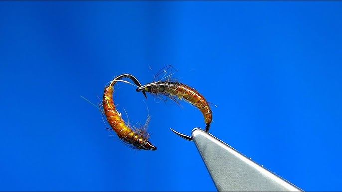 Fly Tying Czech Nymph  Hackles & Wings 