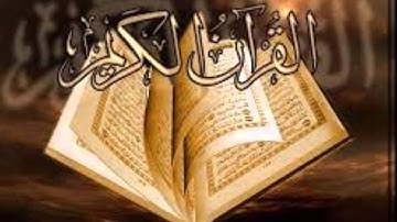 الشيخ بكر عبد الجيد ابو النجا سورة الفتح