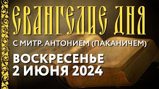 Воскресенье, 2 июня 2024 г. Толкование Евангелия c митрополитом Антонием (Паканичем).