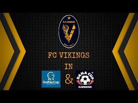 ერთობიან ვიკინგები  N2