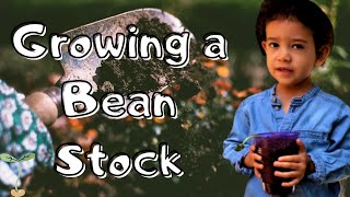 GARDENING WITH A TODDLER | 2 YEAR OLD ACTIVITY | BEAN STOCK