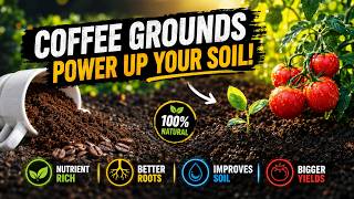 Stop Throwing Away Coffee Grounds — Your Soil Will Change in 30 Days