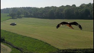 Make Hay while the Sun Shines