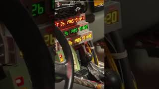 Dashie Checks Out The DeLorean Whip 🚗💨‼️