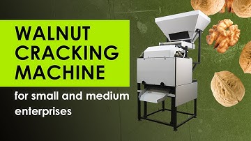 Industrial walnut cracking machine. 80% whole kernel. Most careful cracking