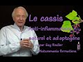 Vido le cassis antiinflammatoire naturel par guy roulier