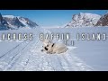 Man and His Dog Alone in the Arctic - E.1 - Polar Bear Danger