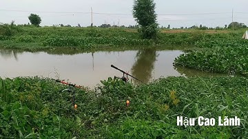 Câu Cá Tra Sông| Lần đầu đi câu đêm và cái kết tổ đãi, Tập 28 - Hậu Cao Lãnh