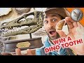 Dinosaur Treasure! - WILL YOU WIN?