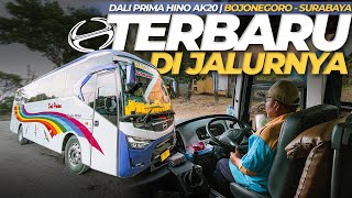 GEBRAKAN BARU BUS INI BIKIN PENUMPANG KETAGIHAN !! Trip Dali Prima Terbaru Hino AK240 Bojonegoro-Sby