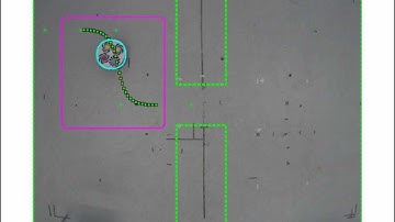spline path 2 (DEIS lab)